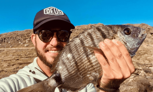 LA ESCUELA DEL SARGO