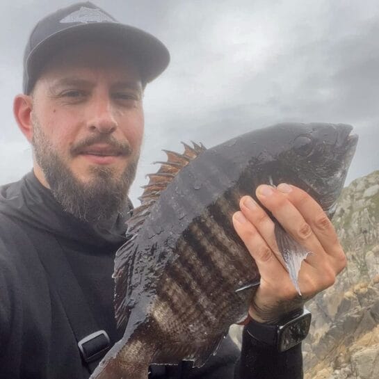 Tarci sujetando un sargo